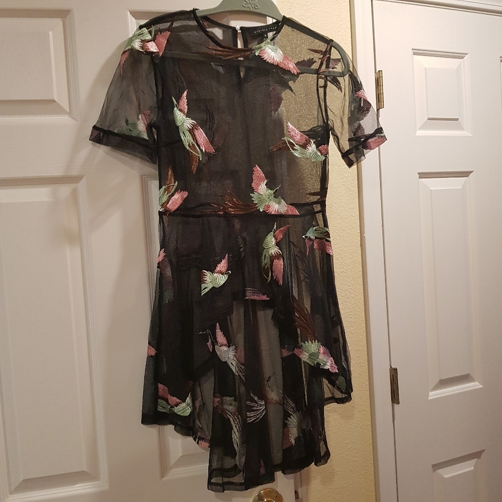 Endless Rose Sheer Peplum Top Small